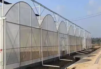 Мини политуннельная теплица для выращивания овощей Мини политуннельная теплица для выращивания овощей